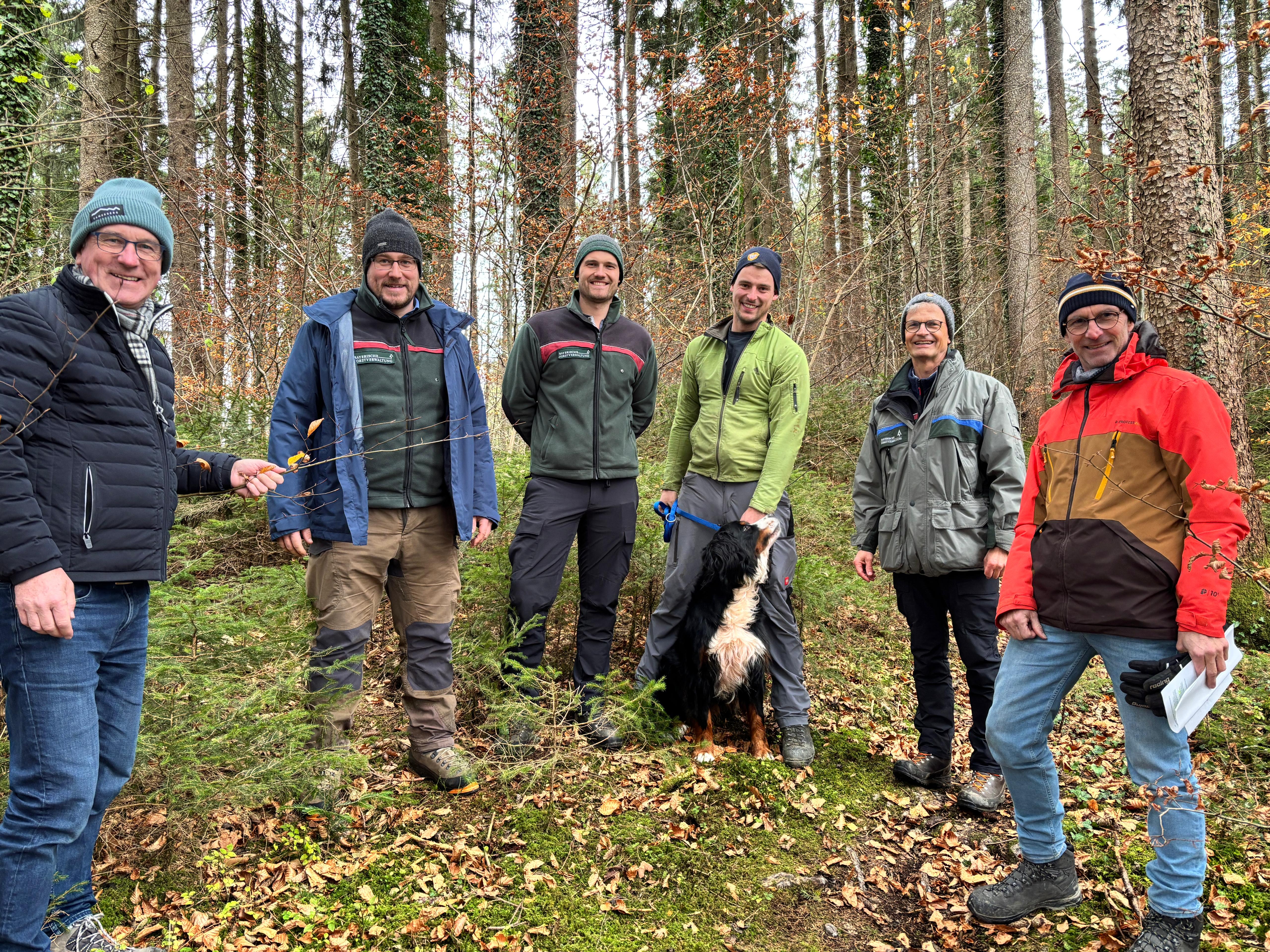 Dialog zum Thema Wald
