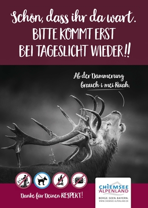 Respekt u Rücksicht-CAT - Hirsch - Tiere