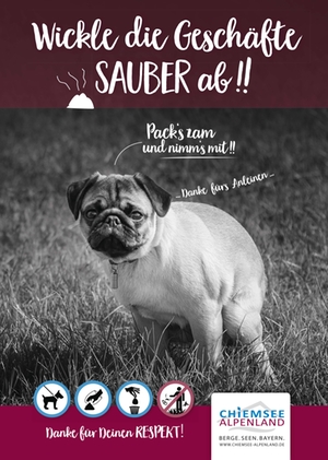 Respekt u Rücksicht-CAT - Hund