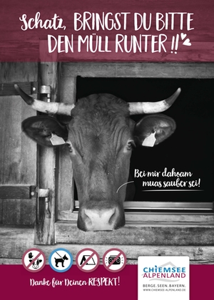 Respekt u Rücksicht-CAT - Kuh - Müll